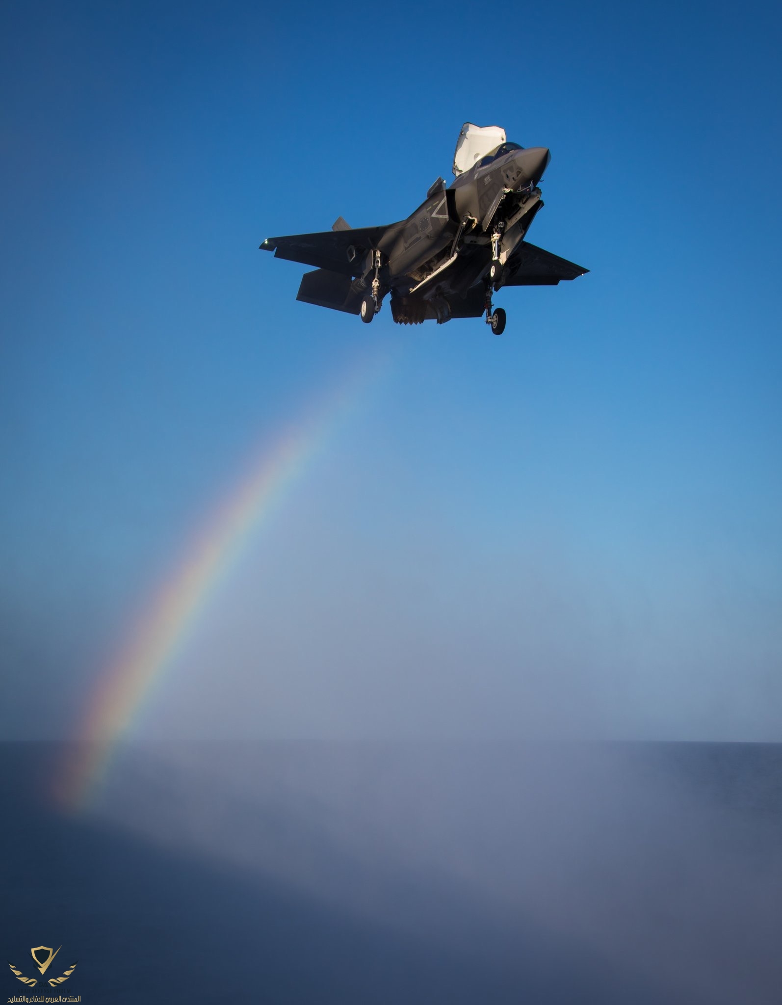 9367339F-0248-408F-BD93-8D9C55DFC12B.jpeg