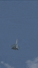 FrighteningMetallicAlaskanhusky-max-1mb.gif