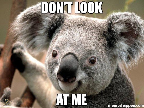 don39t-look-at-me-meme-36255.jpg