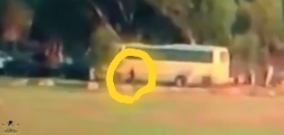 ٢٠١٨١١١٣_٠١٣٠٤٩.jpg