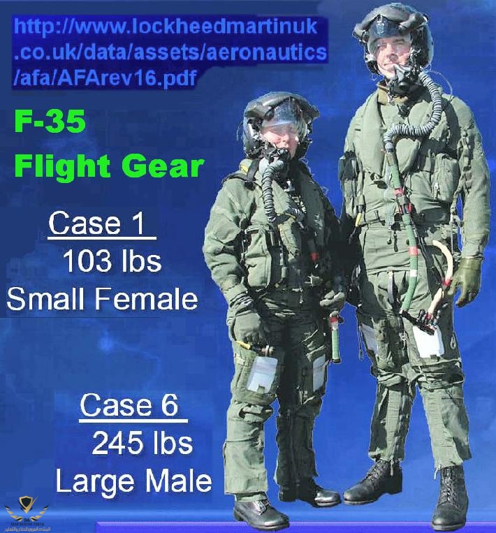 F-35flightGear.jpg