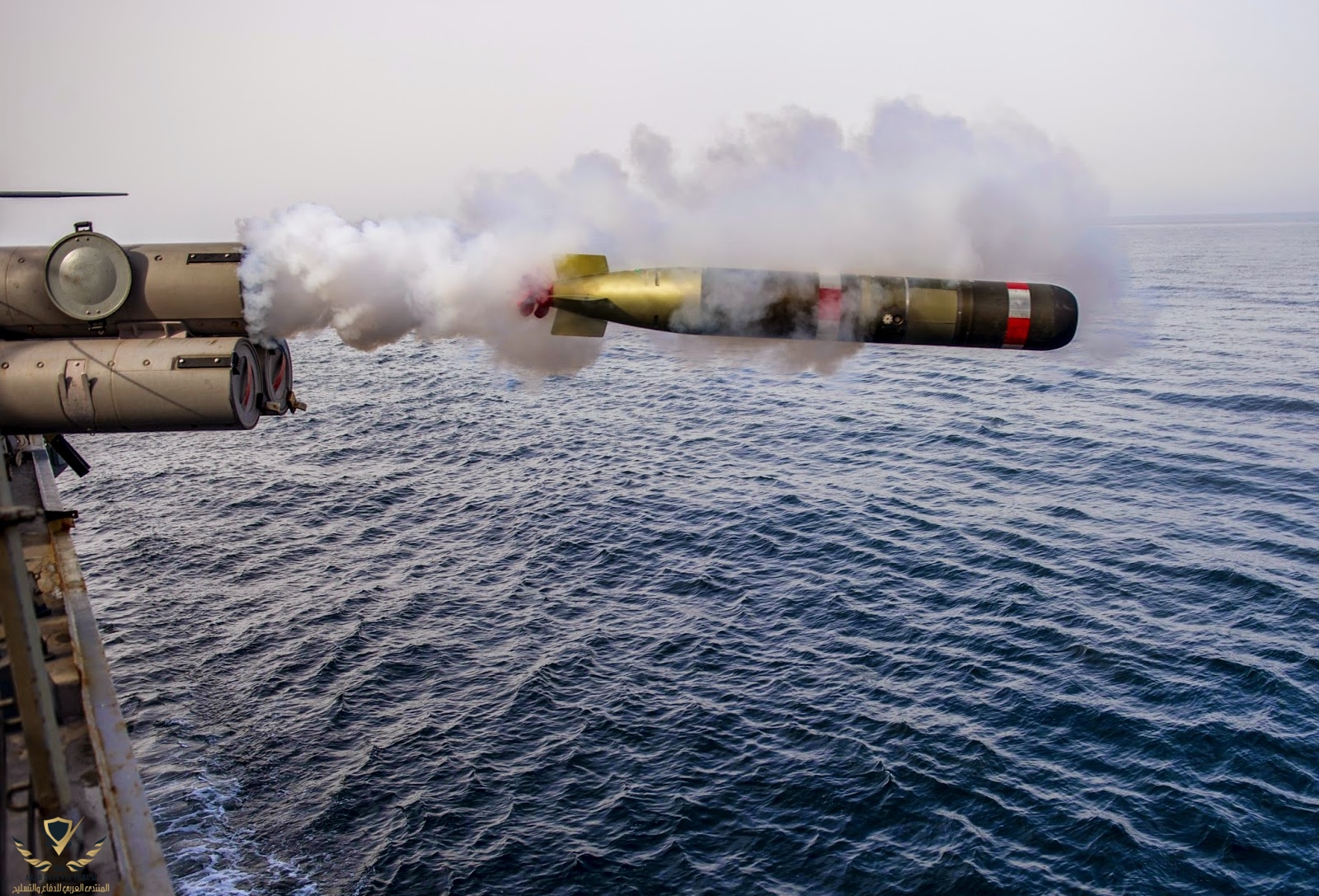 USS_Roosevelt_(DDG-80)_launches_Mk_54_torpedo_in_April_2014.JPG.jpg