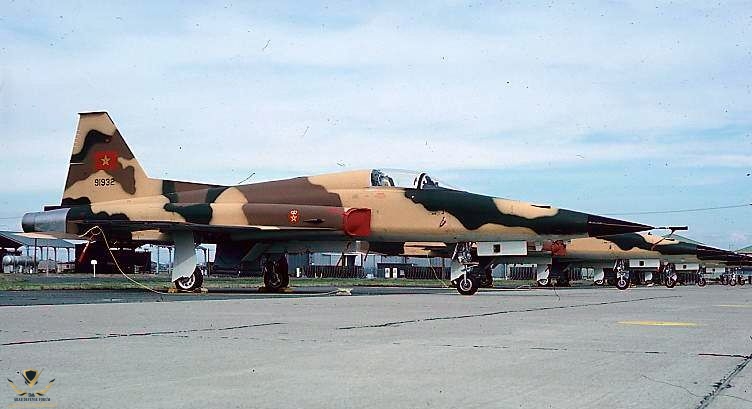 F5_tiger_ll_morocco.jpg