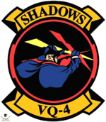 Fleet_Air_Reconnaissance_Squadron_4_(US_Navy)_insignia_2015.png