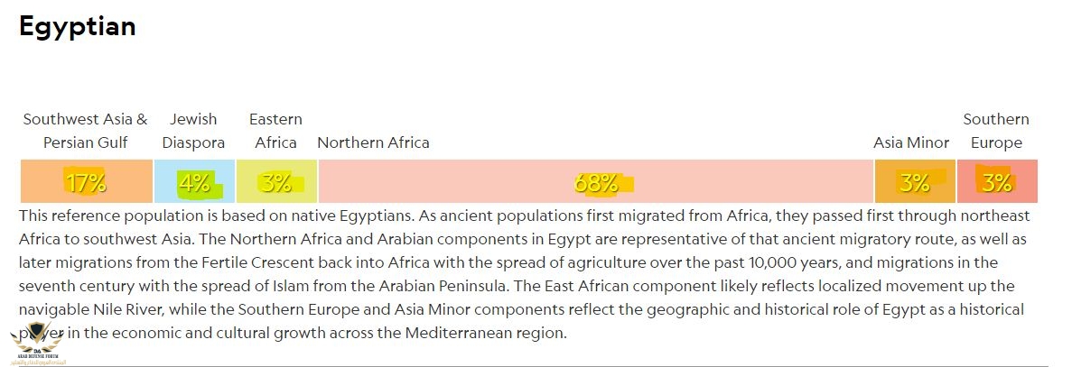 اصول المصريين dna.JPG