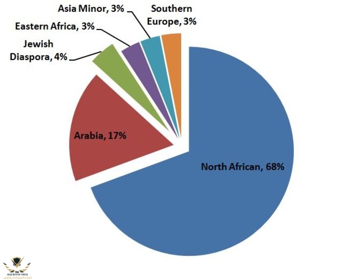 اصول المصريين dna3.JPG