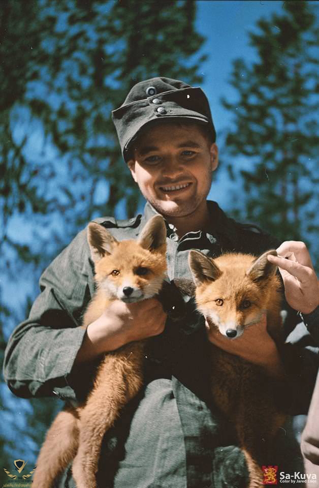 finnish-soldier-carrying-two baby-foxes-in-1942.jpg
