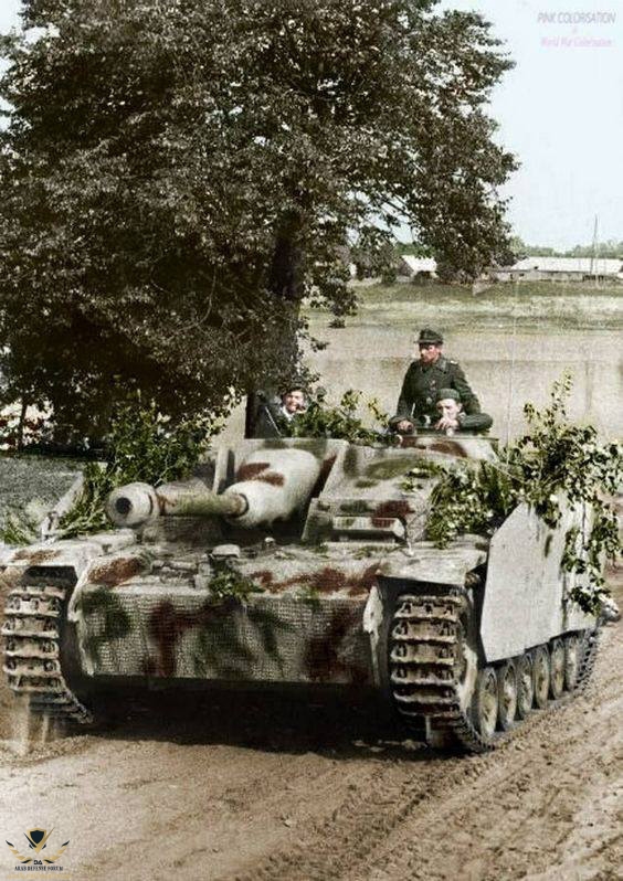 sturmgeschütz iii (stug iii) ausf. e assault guns advance on soviet positions while laying dow...jpg