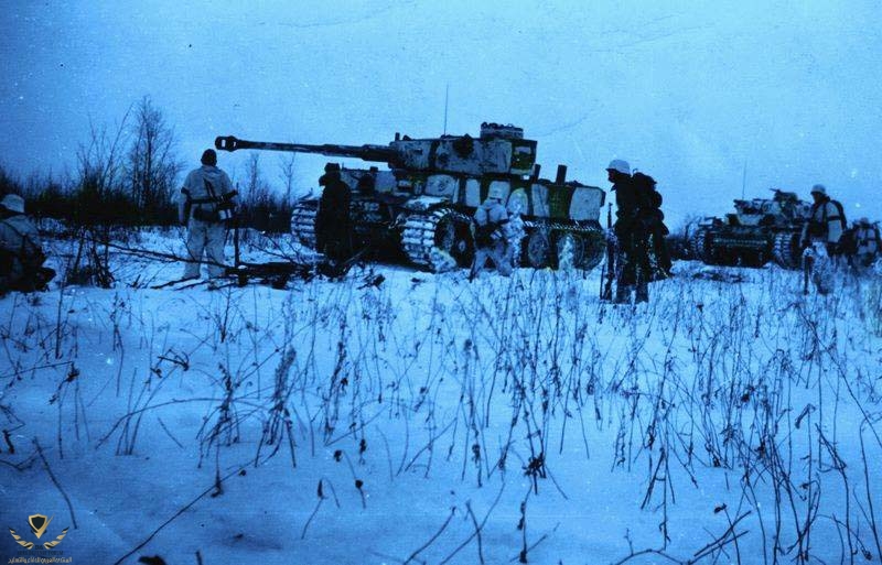 tiger-i-narva-1944.jpg