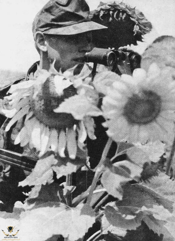 soldier-form-5-ss-wiking-division.jpg