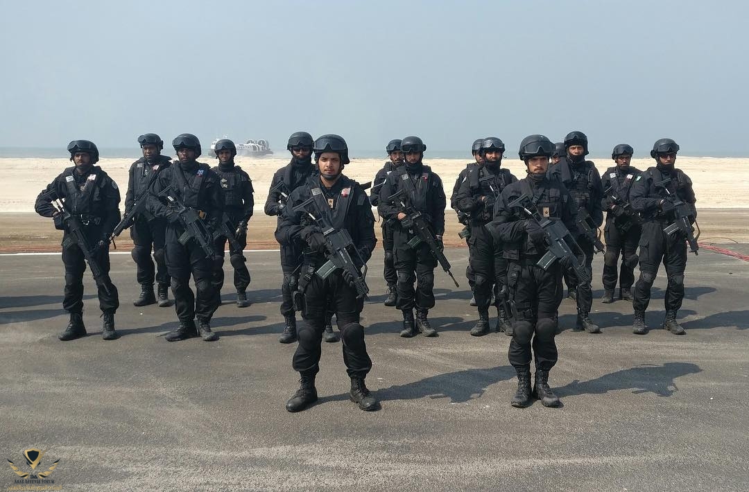 armed_forces_1s_49533006_307263369903719_5271025235755626210_n.jpg