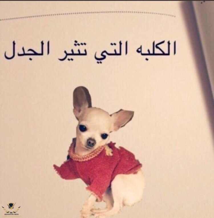 IMG_٢٠١٨١٢٢٩_٠١٣٤٠٠.jpg