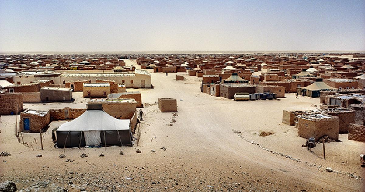 العقل-القَبَلي-بين-إرث-الدين-وطبيعة-الدولة.jpg