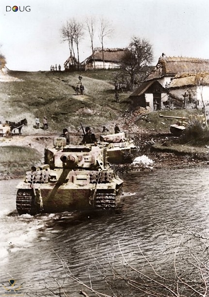 tigers-near-tarnopol.jpg