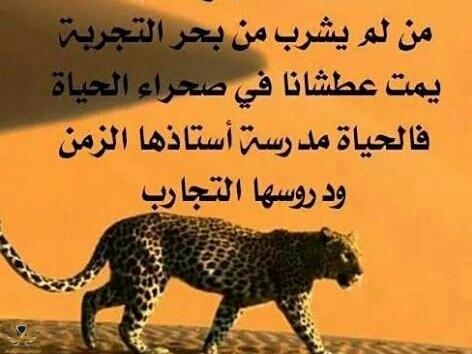 ٢٠١٩-٠١-١٦ ١٨.٠٦.٣٢.jpg