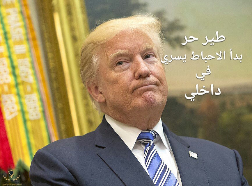 ٢٠١٩-٠١-١٦ ٢٢.٤٨.١١.jpg