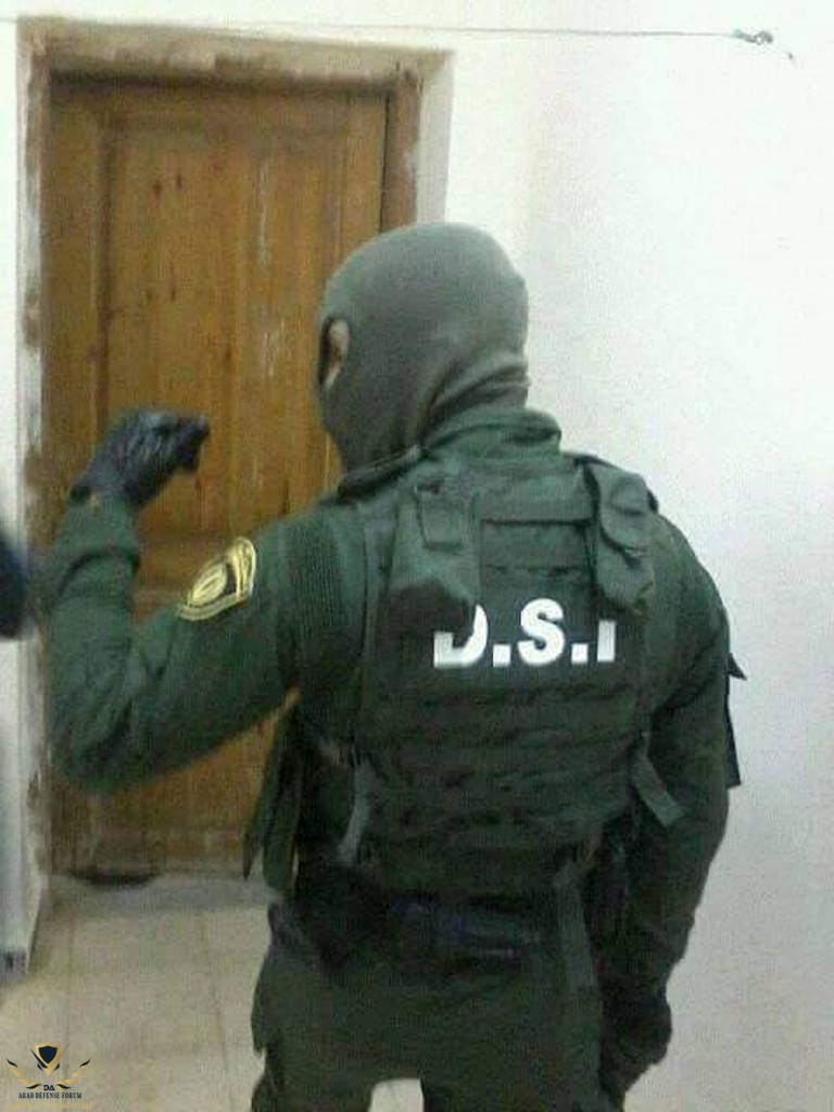 zpq2f.jpg
