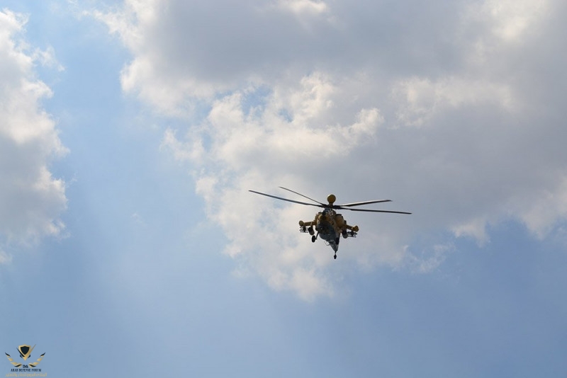 8_94c5b830.jpg