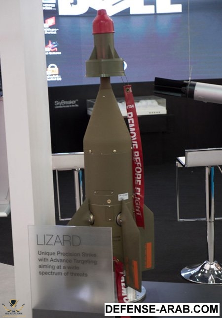 lizardP1450080450.jpg