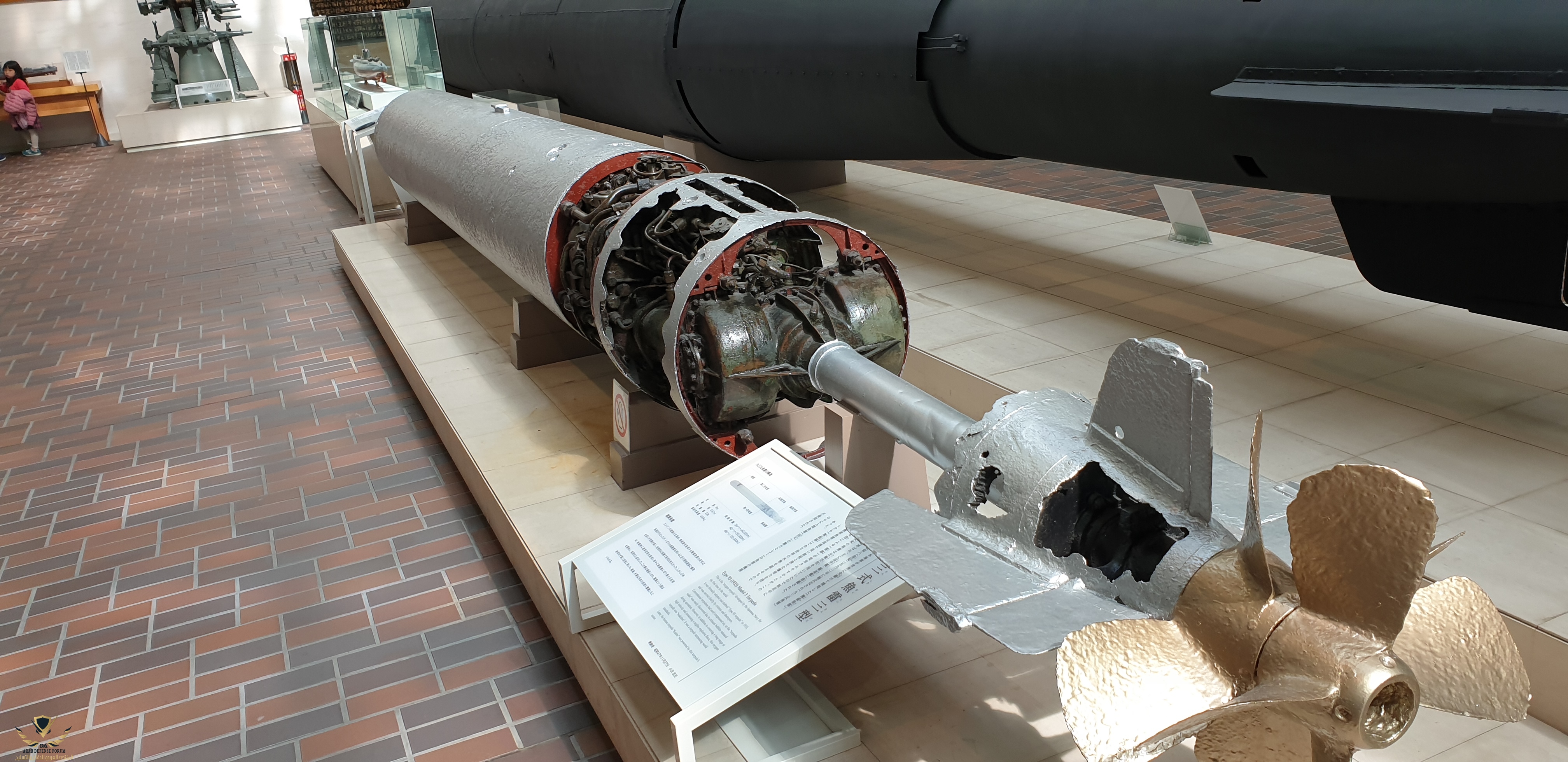 20190409_142142.jpg