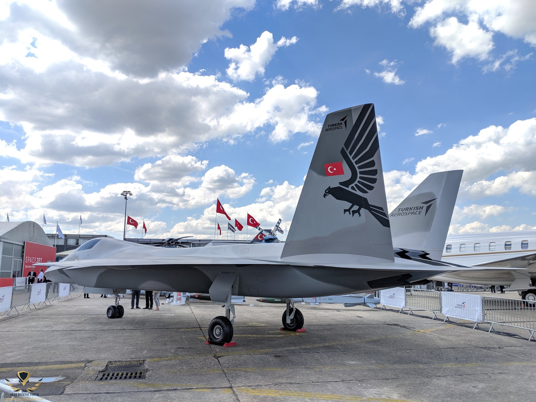 tf-x (4).jpg