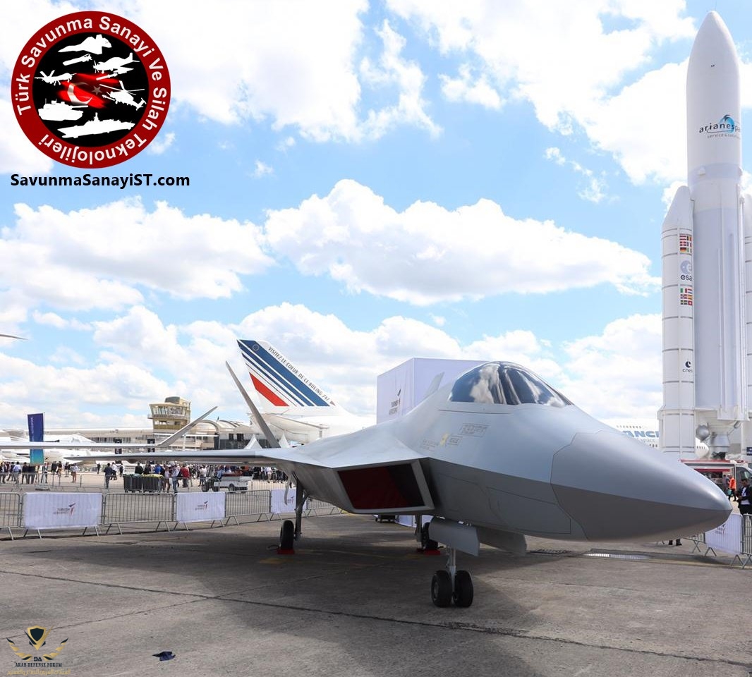 tf-x (8).jpg