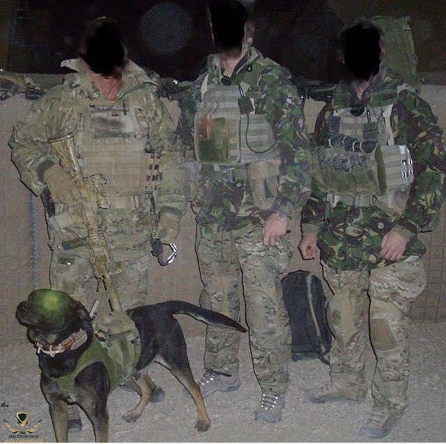 sas-5.jpg