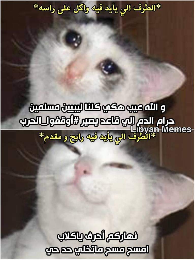 183615
