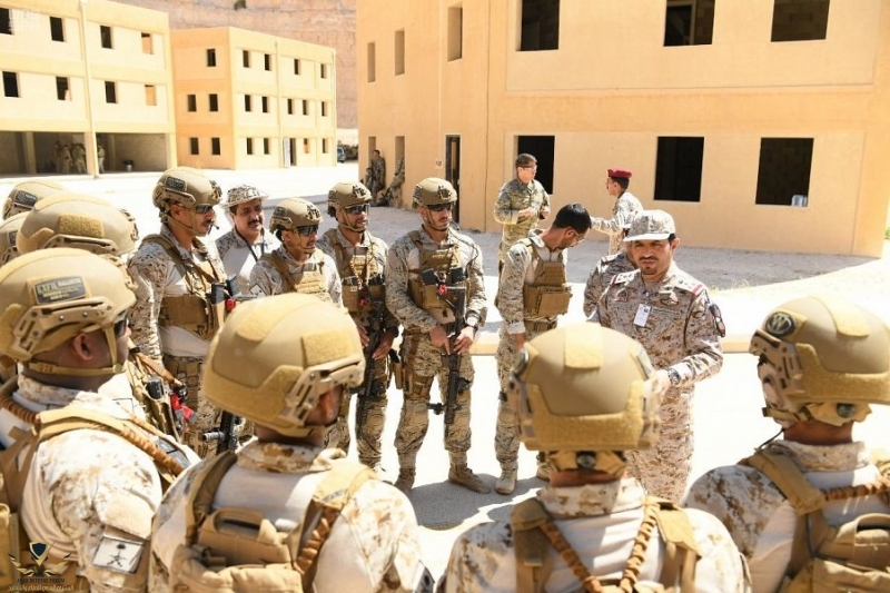 لأسد-المتأهب-2019-3-800x533.jpg