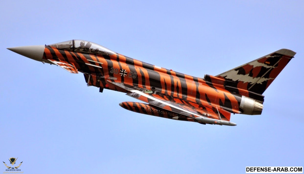 Eurofighter-Typhoon-Luftwaffe-vencedor-pintura-Tiger-Meet-2014-foto-2-Eurofighter (2).jpg