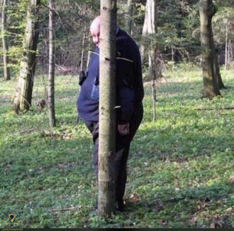 204292