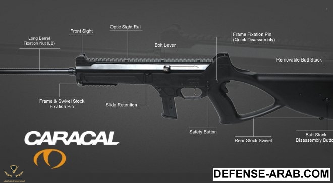 Caracal-CC10.jpg