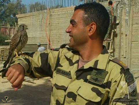 29973-1-(2).jpg