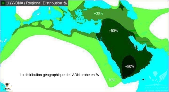 arabe-genetic-2013.jpg