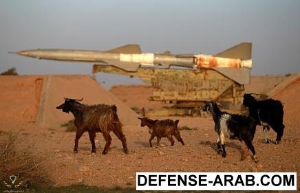 LibyanS-75site.jpg