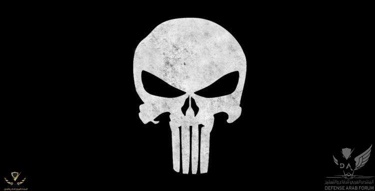 punisher-skull-750x383-750x383.jpg