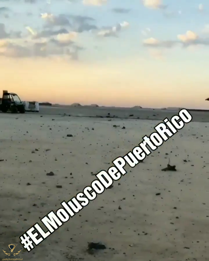 vlcsnap-2020-01-09-09h00m47s295.png