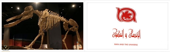 mastadon.jpg