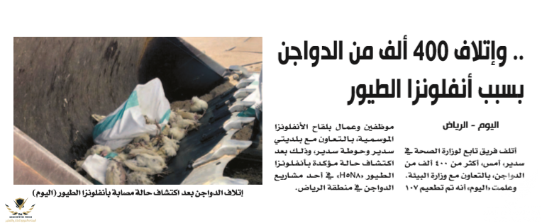 BF39AB24-1F8A-40A2-85D9-37450C604FEA.png