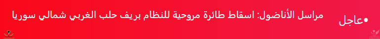 Screenshot_2020-02-14 وكالة الأناضول.png