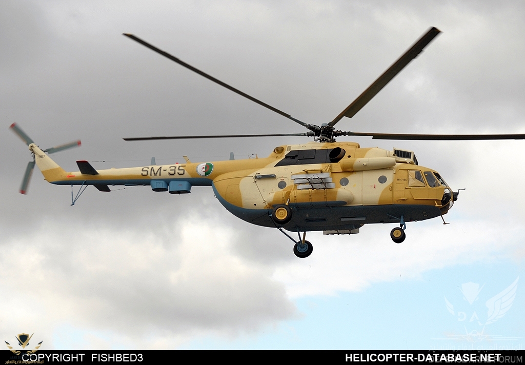 Mi17_7T_SM-35_4.jpg