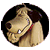 02.gif