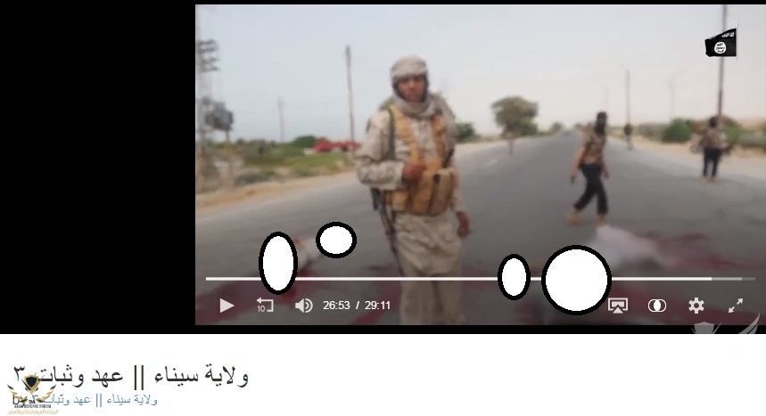 screenshddot.38.jpg
