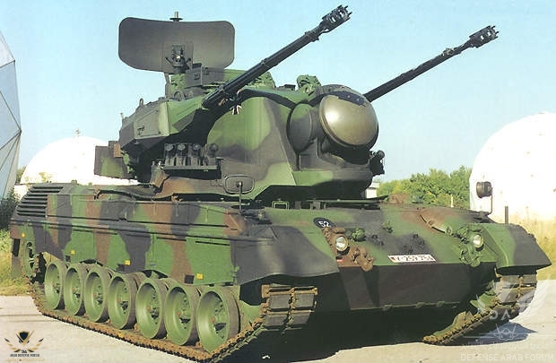 gepard1.jpg