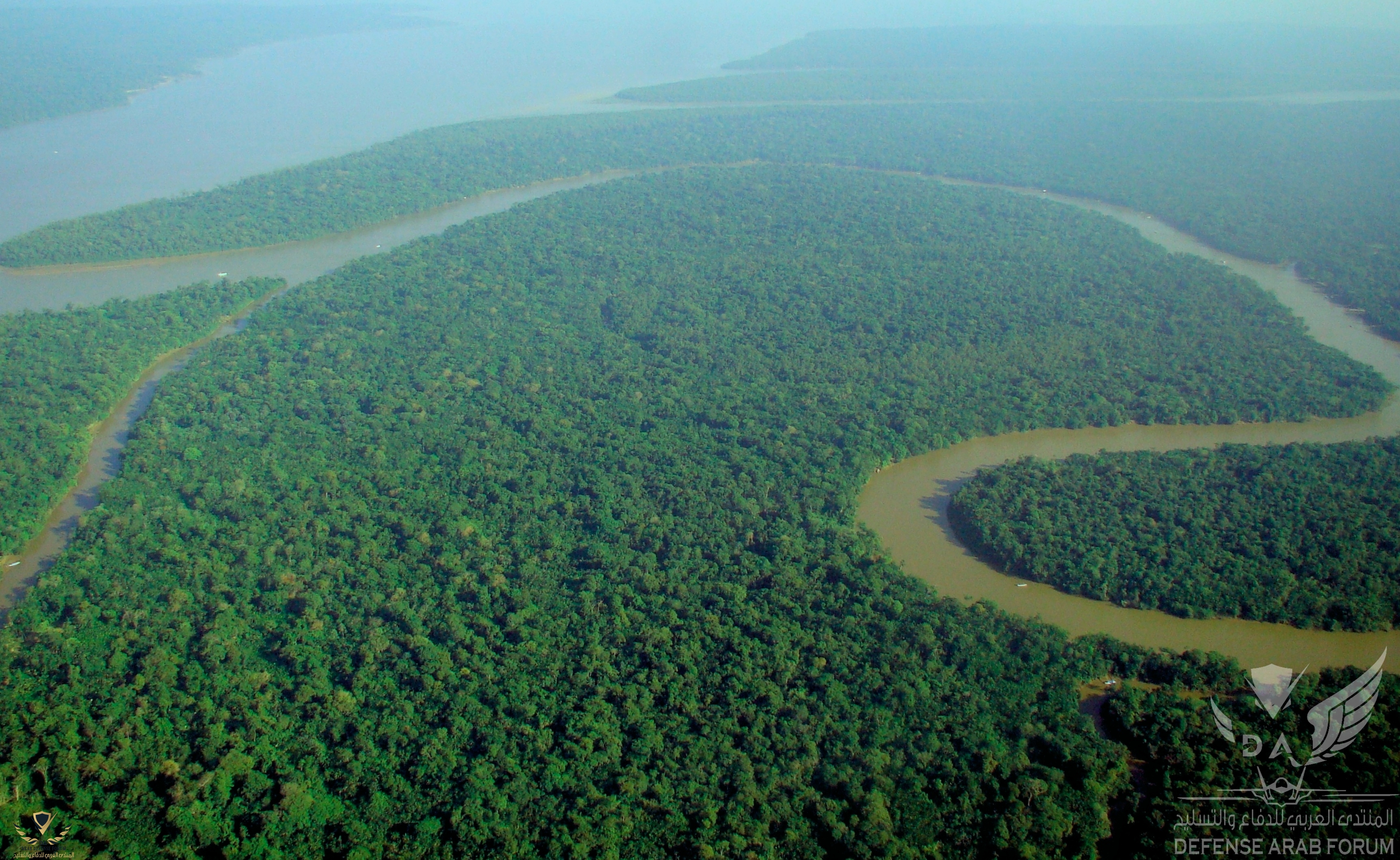 Aerial_view_of_the_Amazon_Rainforest.jpg