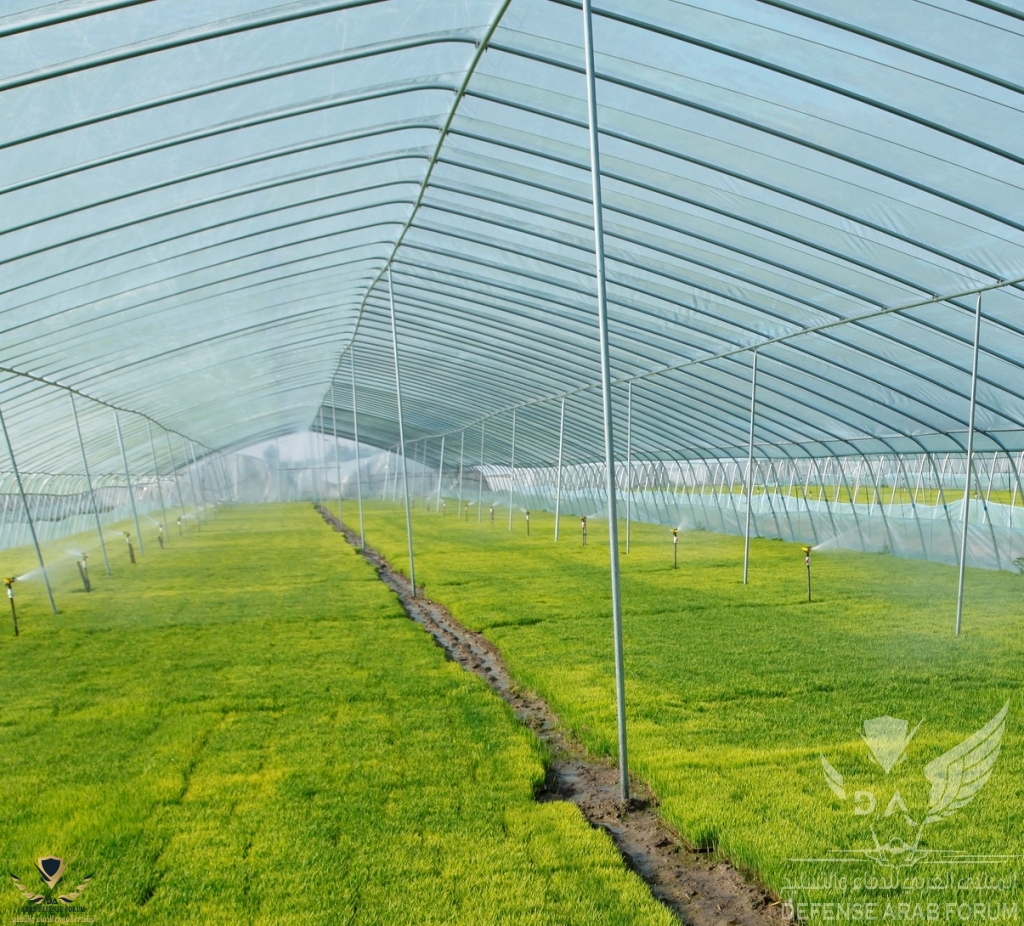 Global-Grow-Tents-Market-2-1024x926.jpg
