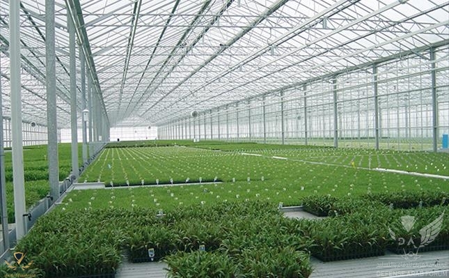 Greenhouses_tcm12-5885_w1024_h633_n.jpg