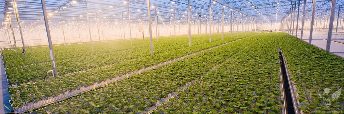 groadvisor-image-02.jpg