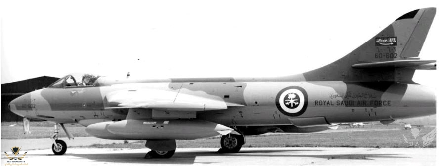 Saudi Hunter 602.JPG