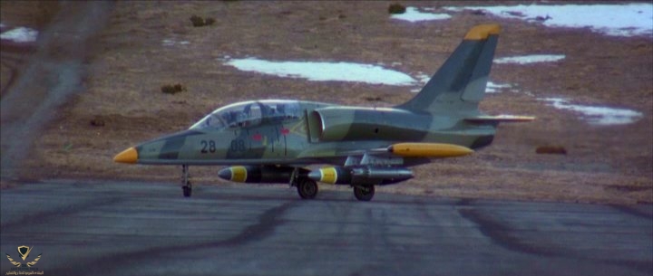 Tomorrow_Albatros3.jpg